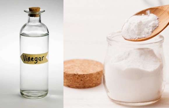 vinegar-613562262_1502x2002-560x746