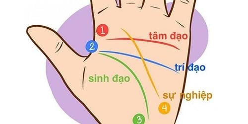 net-tuong-ban-tay-tiet-lo-thanh-cong-den-muon-song-cuc-ki-ruc-ro-phunutuoday
