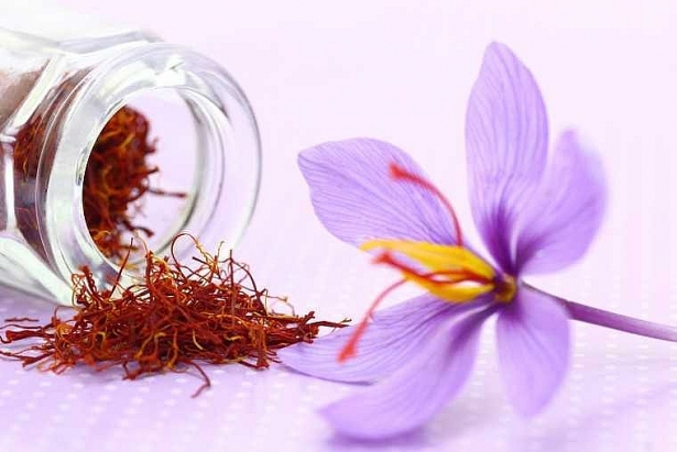 Tinh chất hoa nghệ tây tốt cho tâm trạng