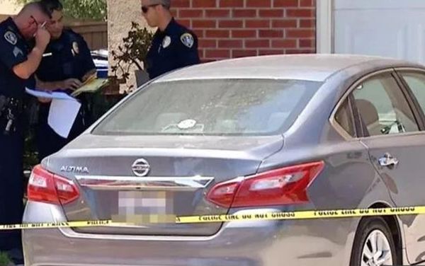 Cảnh sát điều tra vụ việc. Ảnh: NBC San Diego
