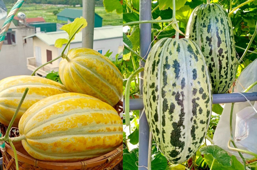 Chị Huyền chia sẻ: 