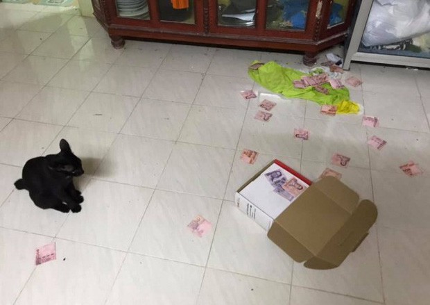 Cô vợ phát hiện 