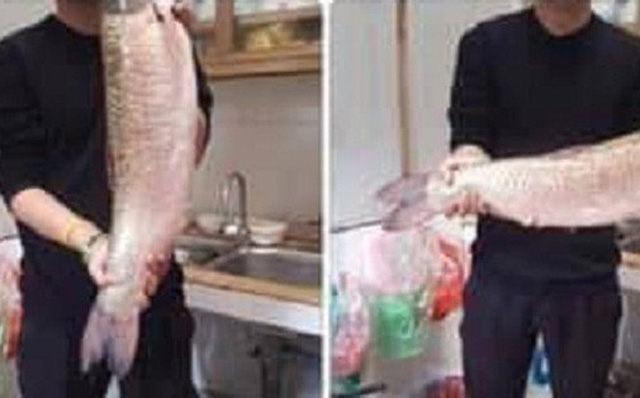 Khoe ảnh đi câu cá, chồng bị vợ vạch trần việc ngoại tình.