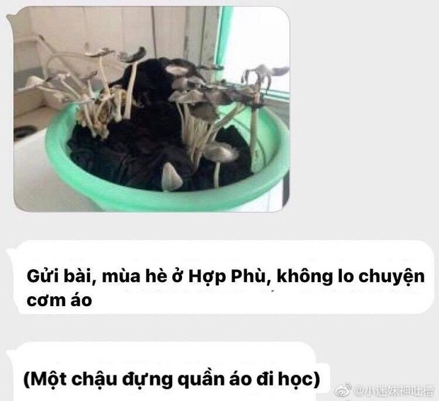 Hình ảnh được đăng tải khiến ai cũng choáng váng.