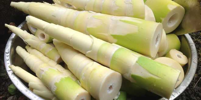thuc-pham-hai-gan-02