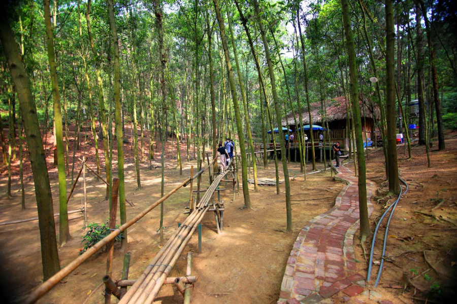 Khu sinh thái Bản Rõm.