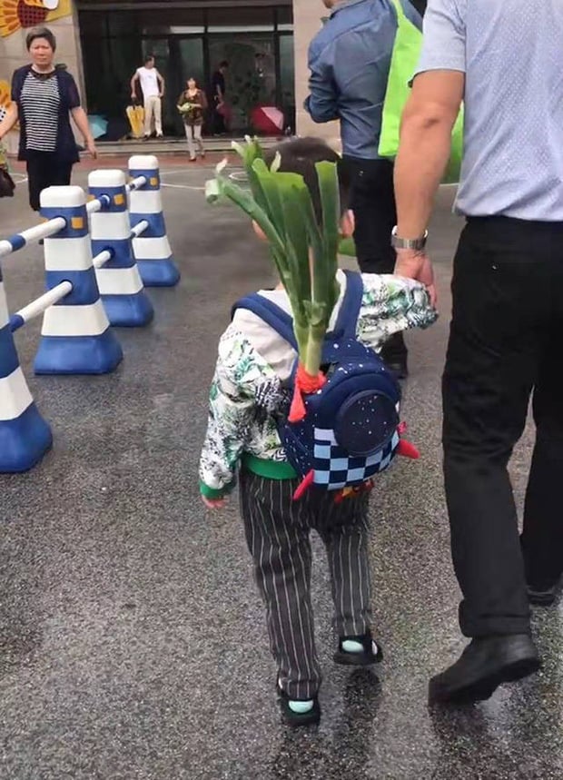 Hình ảnh khiến nhiều người thích thú.