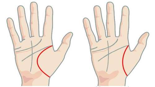 Bàn tay có đường chỉ tay này giàu có
