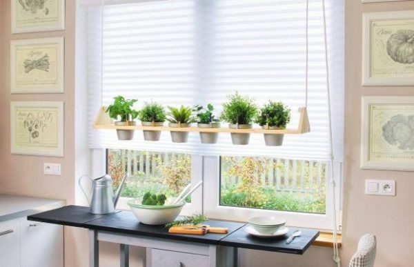 Đặt chậu cây cảnh trong bếp