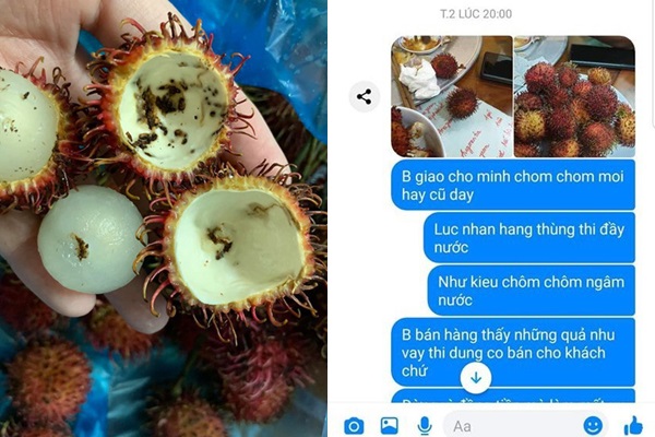 Số chôm chôm bị hỏng rất nhiều.