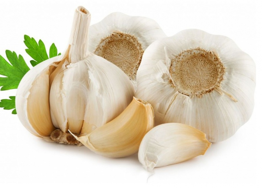 Tỏi tươi rất tốt cho sức khỏe