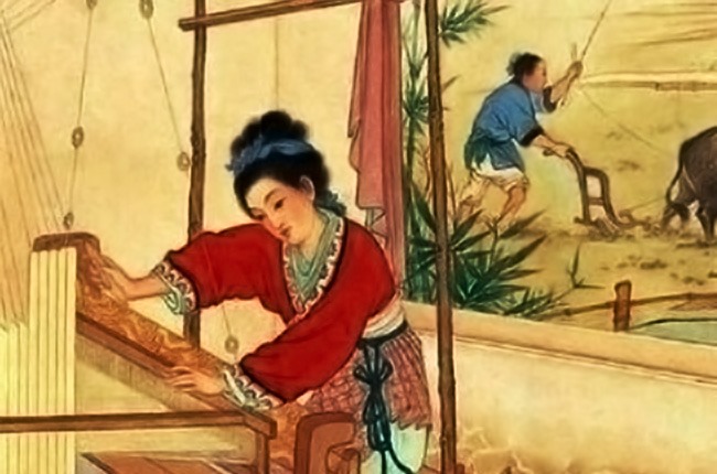 anh 231