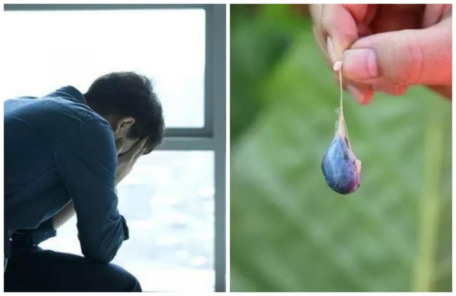 Mọi người không nên ăn mật rắn