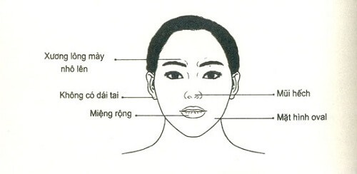 Lông mày che hết cả mắt số khổ