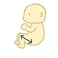 chi-so-sieu-am-thai-05