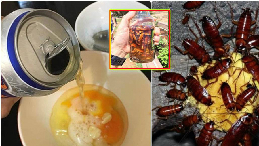 meo diet gian bang lon bia-phunutoday