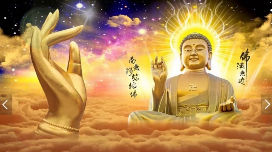 anh 494