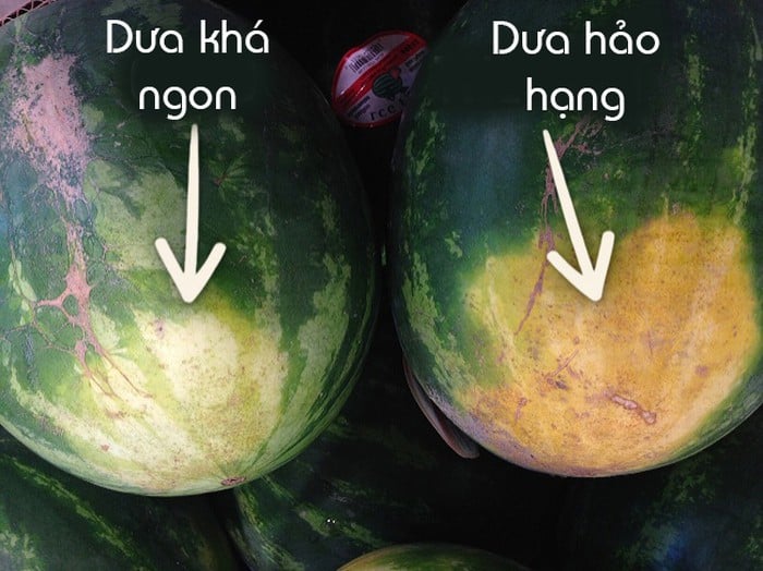 Nên chọn dưa có màu vàng hoặc rám ở đầu dưa