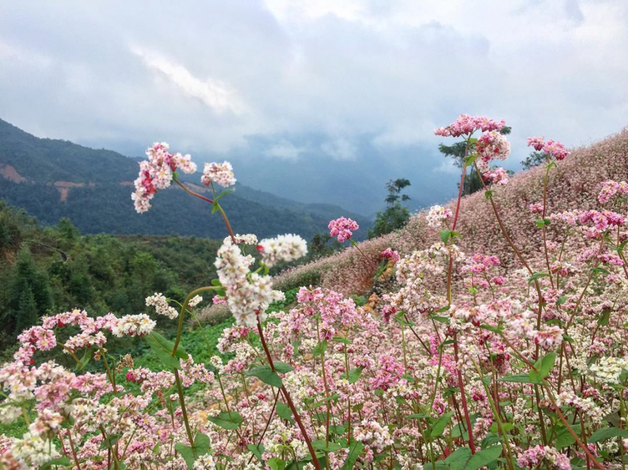 ha-giang-02