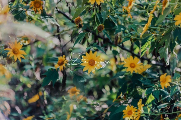 Ảnh: @bkva.4dl