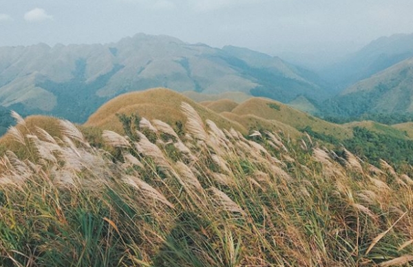 Mùa lau nở trắng ở Bình Liêu. (Ảnh: Quynhem).
