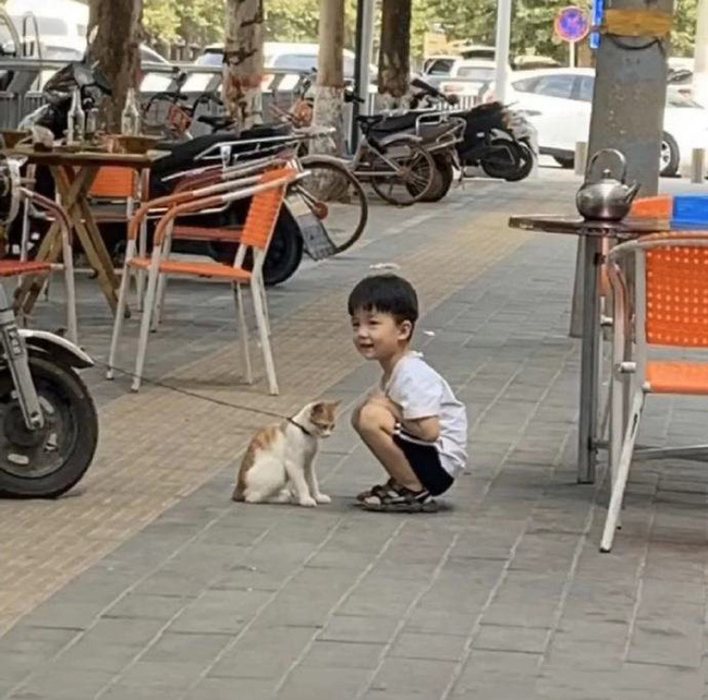  Ảnh: Diệp Lưu Cát/WeiboVN.