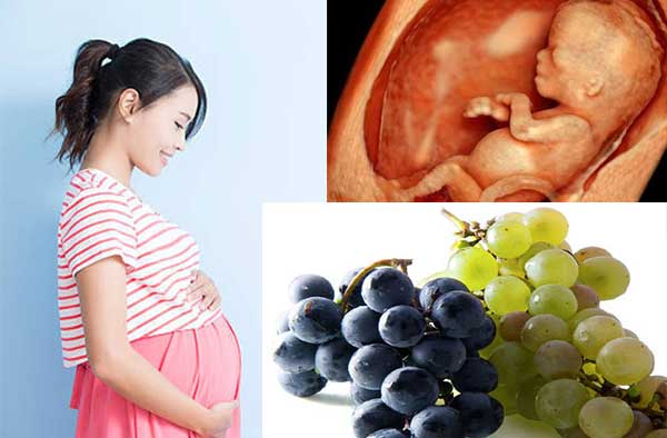 Nho giúp giảm táo bón