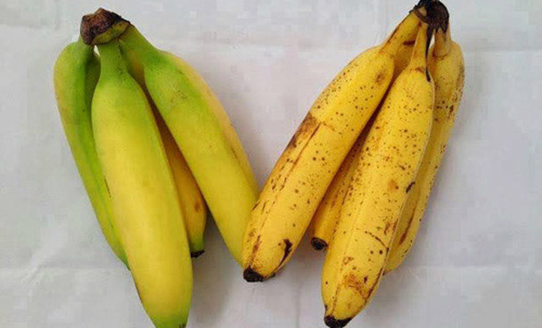 Chuối chín không đều chín tự nhiên