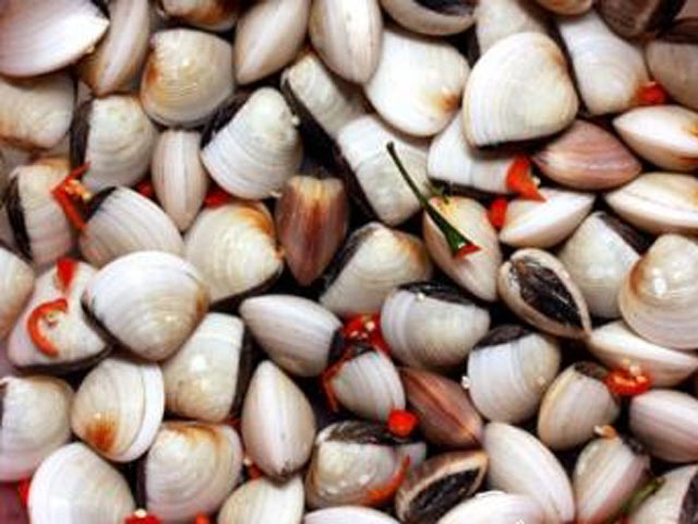 Ngâm ngao trong ớt tươi