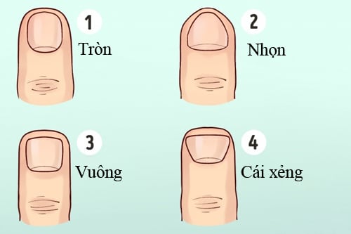 ngon-tay-01