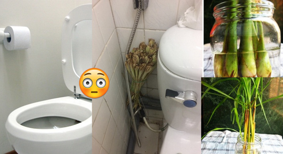 dat sa trong nha ve sinh-phunutoday