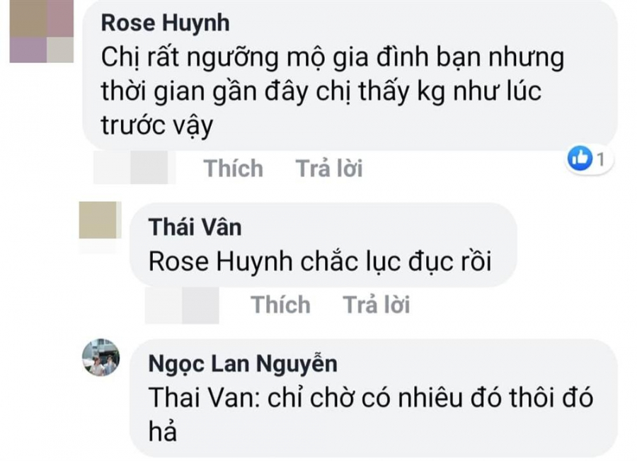 ngoc-lan-dap-tra-gay-gat-khi-bi-dan-mang-chat-van-chuyen-ly-hon-thanh-binh-8a2b93