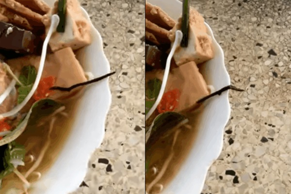 Hình ảnh cắt từ clip.