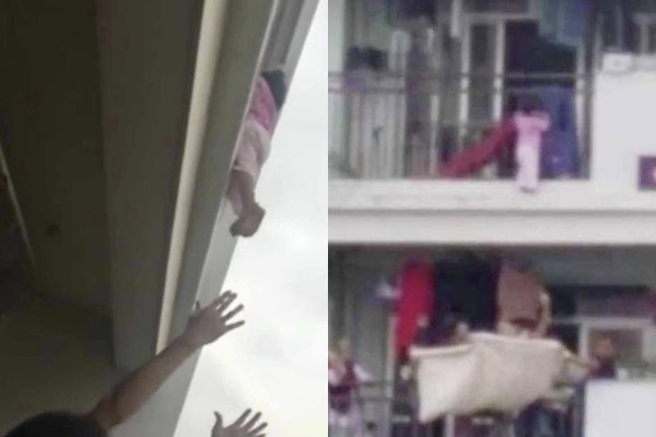 Hình ảnh cắt từ clip.
