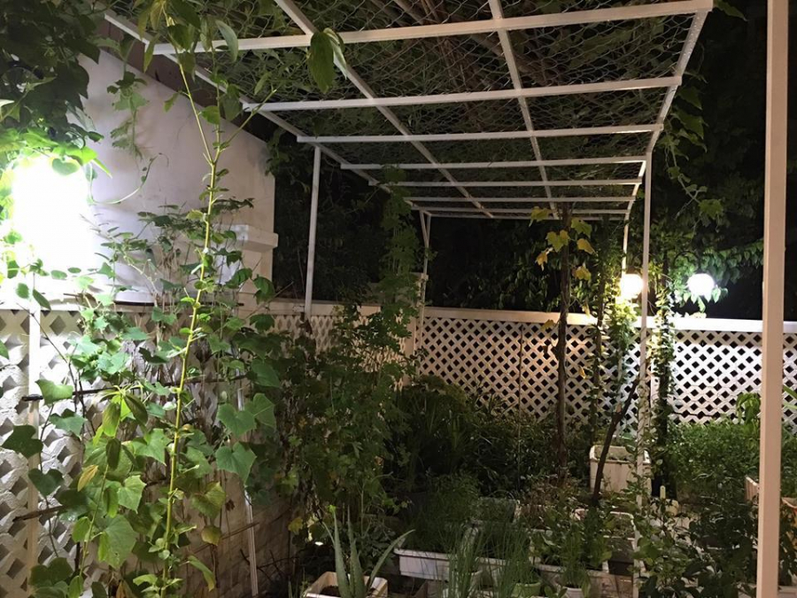 Thủy Tiên từng chia sẻ, cô được truyền niềm yêu thích làm vườn từ mẹ của mình.