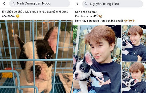 Lan Ngọc và Chi Dân bị phát hiện nuôi chung thú cưng.