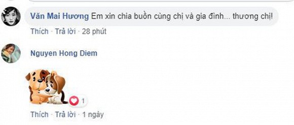 huong1-1572255661269955707407-ngoisao.vn-w620-h263