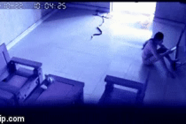 Hình ảnh khiến mọi người rùng mình.