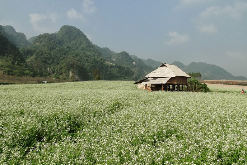 Nguồn ảnh internet