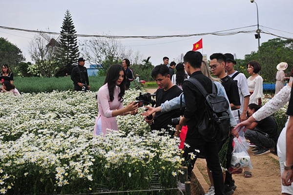 Chưa vào chính vụ nhưng đã rất nhiều người đến vườn cúc họa mi để chụp hình. (Ảnh: Gia đình & Shbet111 phiên bản mới)