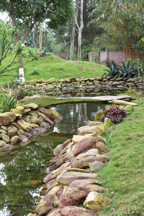Căn biệt thự được thiết kế theo xu hướng hiện đại, không gian mở và gần gũi với thiên nhiên. 
