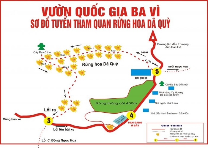 hoa-da-quy-ba-vi-phunutoday-02