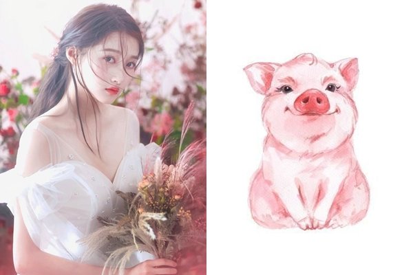Tuổi Hợi gánh lộc về nhà trong 60 ngày tới