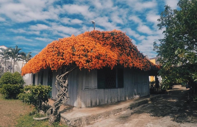 Ngôi nhà xinh đẹp như trong truyện cổ tích. Ảnh: Hưng Lương