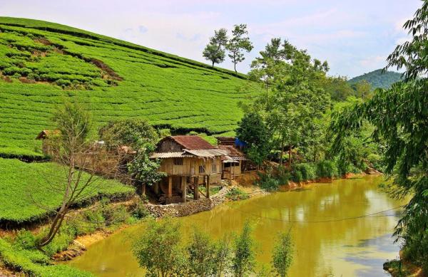 Khung cảnh làm say đắm lòng người. Ảnh Nhiếp ảnh gia Tuấn Tài