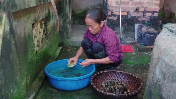 Bà Tân bị soi làm clip giống Lý Tử Thất của Trung Quốc.