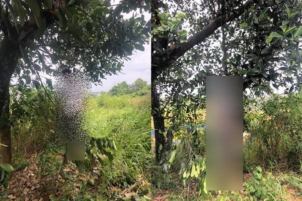 Người đàn ông tử vong trong tư thế treo cổ được nghi là Nguyễn Trường Quân.