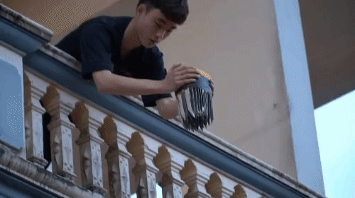 tha-100-con-dao-tu-tren-cao-xuong-ntn-vlogs