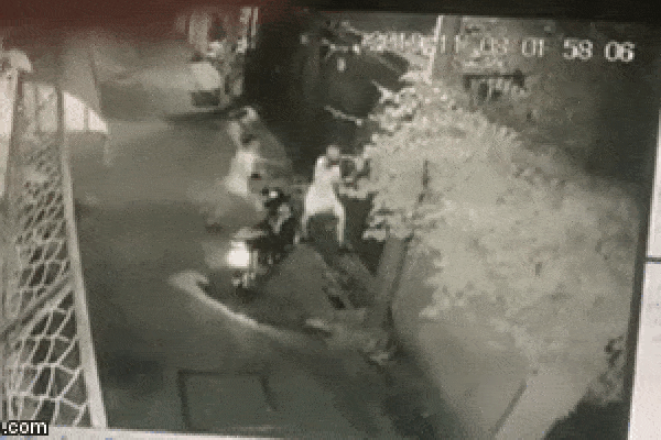 Hình ảnh được cắt từ clip.