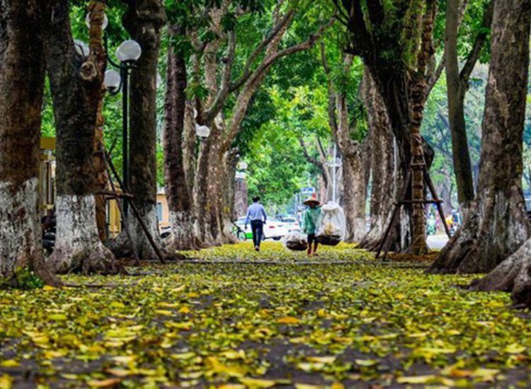 Dự báo thời tiết hôm nay, miền Bắc ngày có nắng ấm. (Ảnh minh họa)